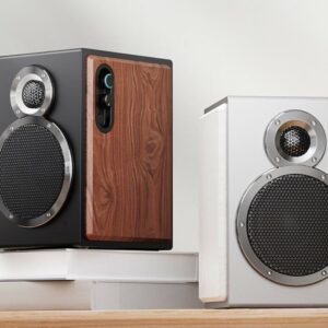 FIIO SA1 (Noir crépuscule/Blanc nuage)